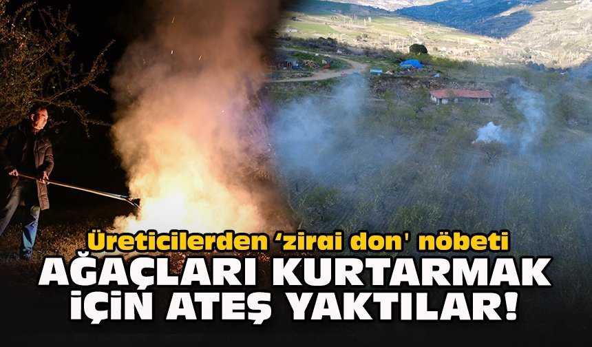 Üreticilerden ‘zirai don' nöbeti... Ağaçları kurtarmak için ateş yaktılar!