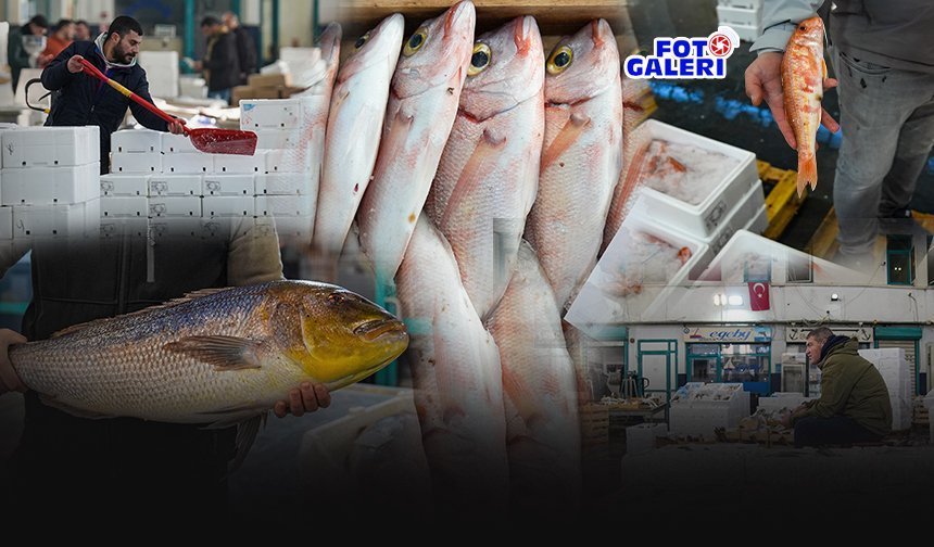 Ege Denizi’nde av sezonu bereketli geçti