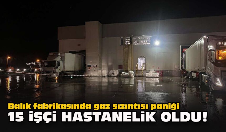 Balık fabrikasında gaz sızıntısı paniği... 15 işçi hastanelik oldu!