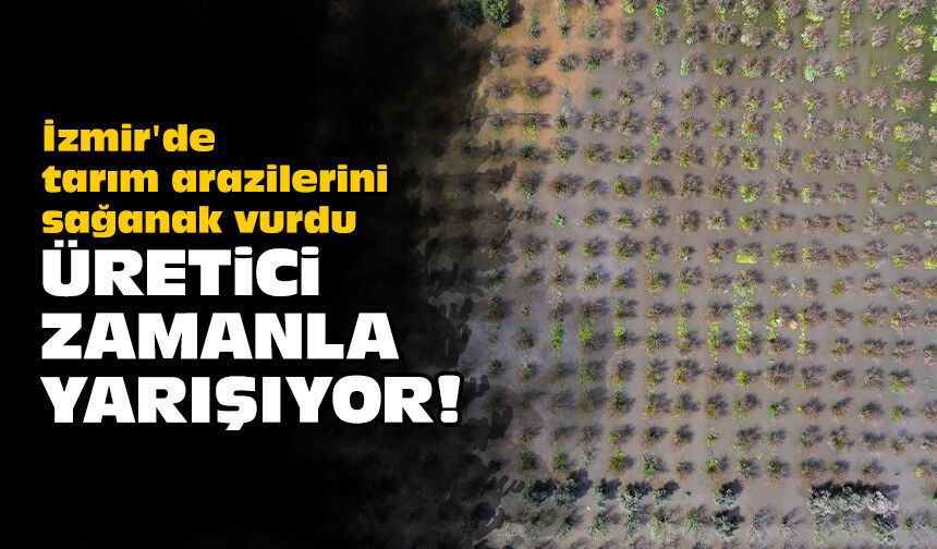 İzmir'de tarım arazilerini sağanak vurdu: Üretici zamanla yarışıyor