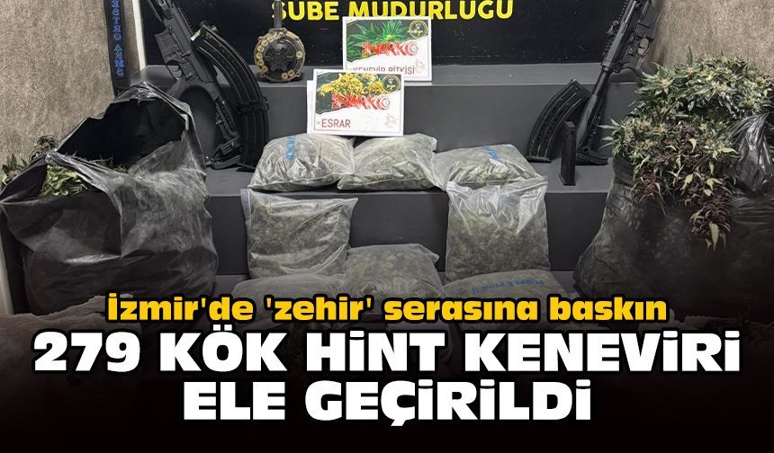 İzmir'de 'zehir' serasına baskın: 279 kök Hint keneviri ele geçirildi
