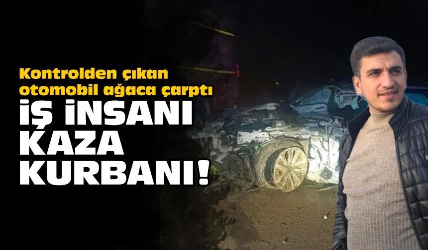 Kontrolden çıkan otomobil ağaca çarptı: İş insanı kaza kurbanı!