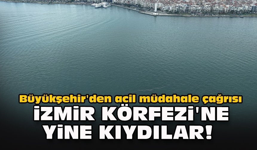Büyükşehir'den acil müdahale çağrısı... İzmir Körfezi'ne yine kıydılar!