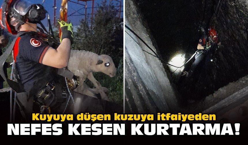 Kuyuya düşen kuzuya itfaiyeden nefes kesen kurtarma