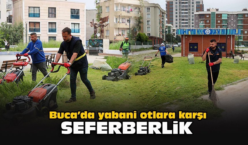 Buca’da yabani otlara karşı seferberlik