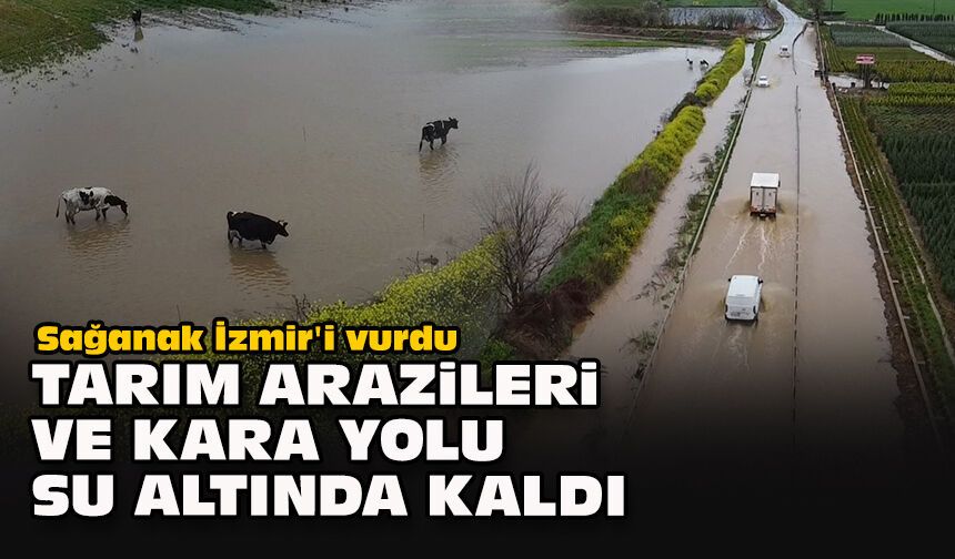 Sağanak İzmir'i vurdu... Tarım arazileri ve kara yolu su altında kaldı