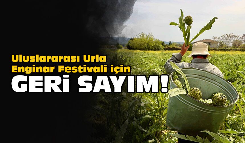 Uluslararası Urla Enginar Festivali için geri sayım!