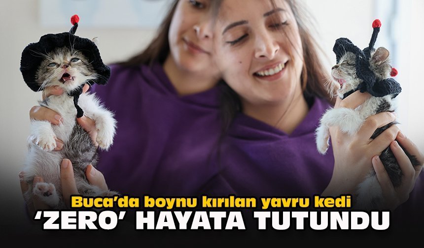 Buca’da boynu kırılan yavru kedi “Zero” hayata tutundu