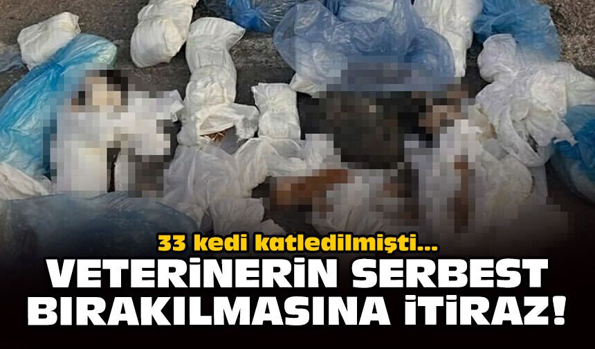 33 kedi katledilmişti: Veterinerin serbest bırakılmasına itiraz!