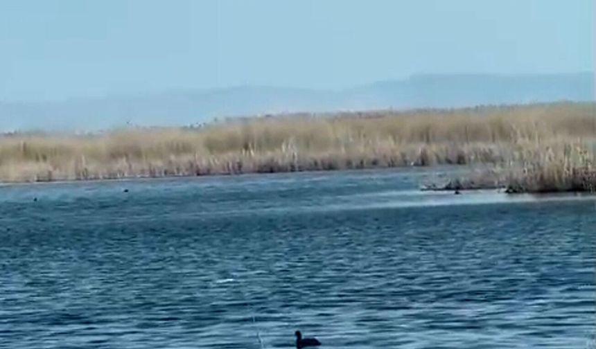 Eber Gölü'nde su seviyesi yükseldi