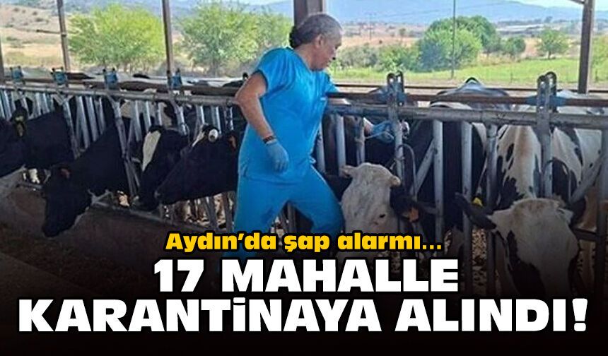 Aydın’da şap alarmı… 17 mahalle karantinaya alındı