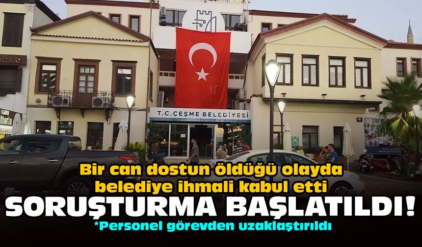 Bir can dostun öldüğü olayda belediye ihmali kabul etti: Soruşturma başlatıldı!