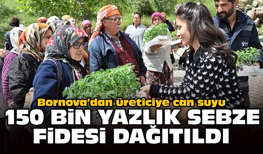 Bornova’dan üreticiye can suyu: 150 bin yazlık sebze fidesi dağıtıldı