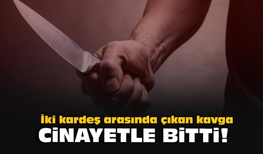 İki kardeş arasında çıkan kavga cinayetle bitti!