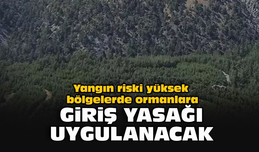 Yangın riski yüksek bölgelerde ormanlara giriş yasağı uygulanacak
