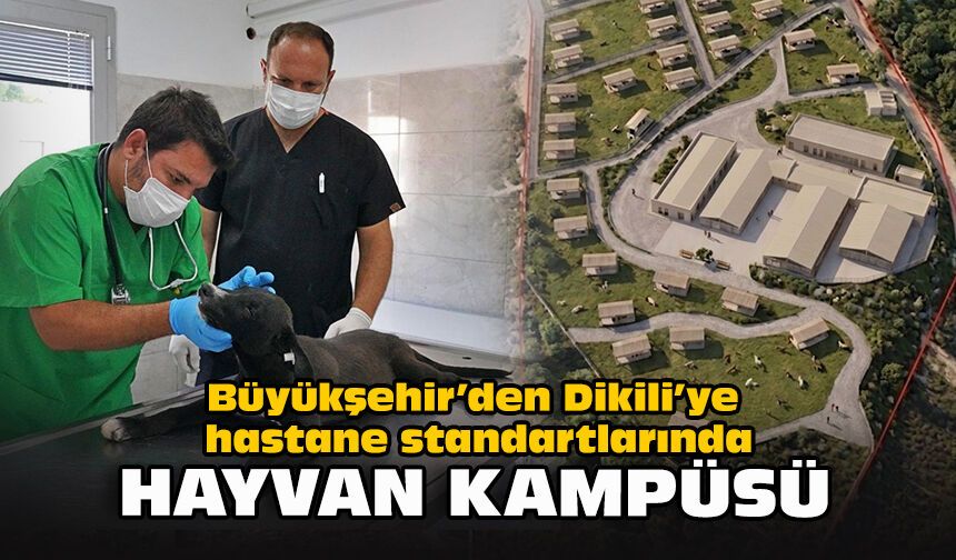 Büyükşehir’den Dikili’ye hastane standartlarında hayvan kampüsü