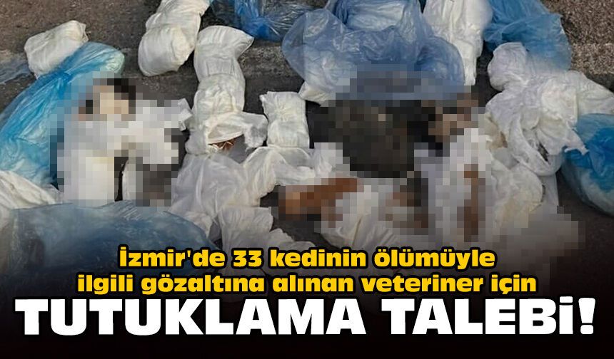 İzmir'de 33 kedinin ölümüyle ilgili gözaltına alınan veteriner için tutuklama talebi!