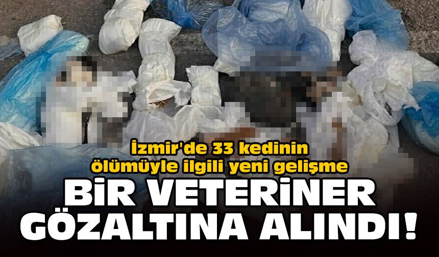 İzmir'de 33 kedinin ölümüyle ilgili yeni gelişme: Bir veteriner gözaltına alındı!