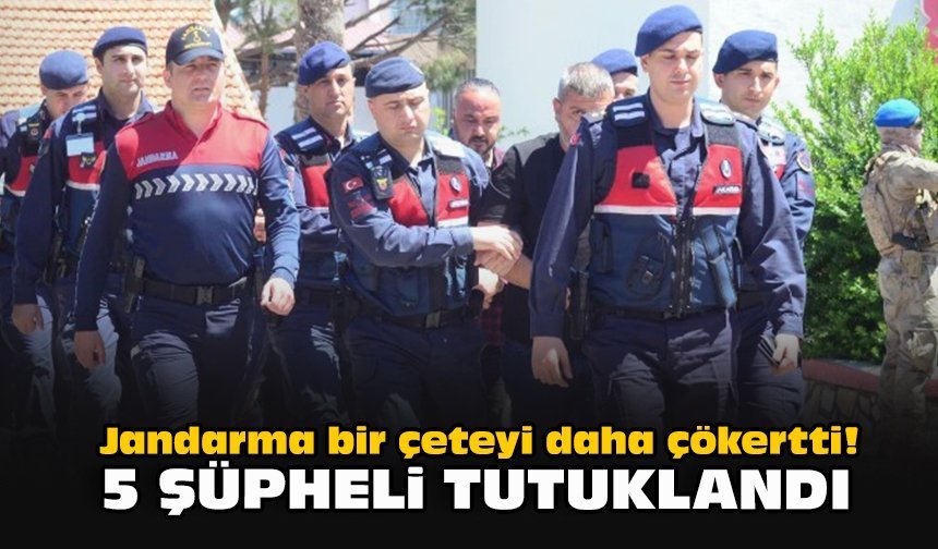Jandarma bir çeteyi daha çökertti! 5 şüpheli tutuklandı