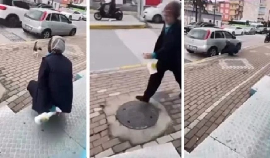 Kediyi yanına çağırıp yağ çözücü sprey sıktı
