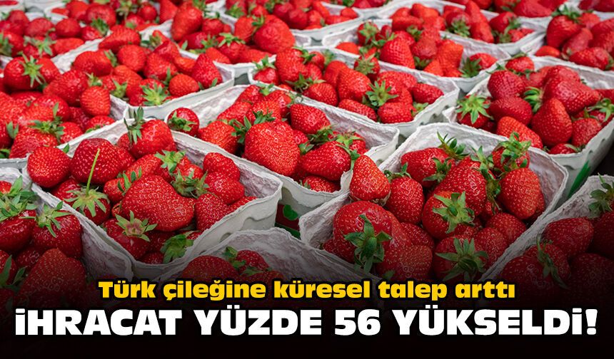 Türk çileğine küresel talep arttı: İhracat yüzde 56 yükseldi