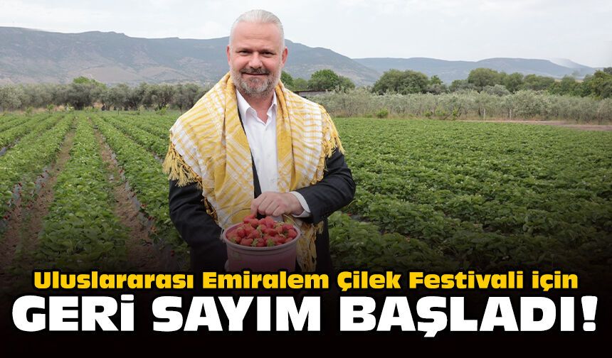 Uluslararası Emiralem Çilek Festivali için geri sayım başladı!
