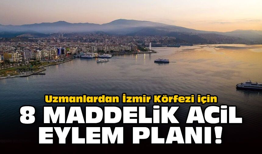 Uzmanlardan İzmir Körfezi için 8 maddelik acil eylem planı!