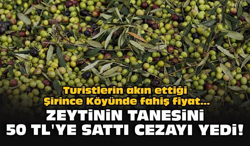 Turistlerin akın ettiği Şirince Köyünde fahiş fiyat... Zeytinin tanesini 50 TL'ye sattı cezayı yedi!
