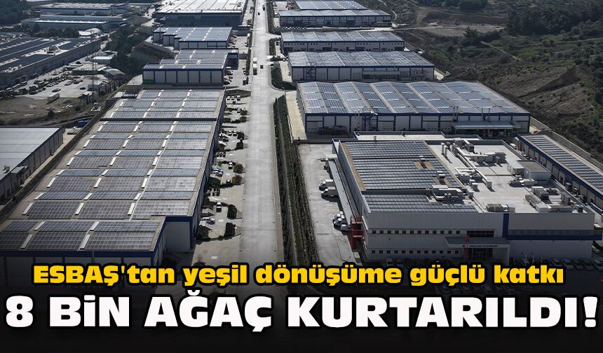 ESBAŞ'tan yeşil dönüşüme güçlü katkı... 8 bin ağaç kurtarıldı!