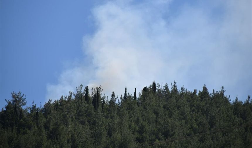 Manisa'da orman yangını: Havadan karadan müdahale!