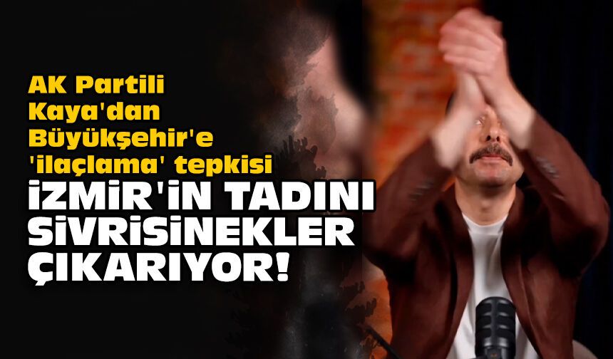 AK Partili Kaya'dan Büyükşehir'e 'ilaçlama' tepkisi: İzmir'in tadını sivrisinekler çıkarıyor!