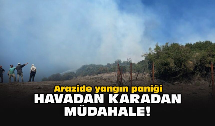 Arazide yangın paniği... Havadan karadan müdahale!