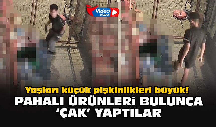 Yaşları küçük, pişkinlikleri büyük! Pahalı ürünleri bulunca ‘çak’ yaptılar