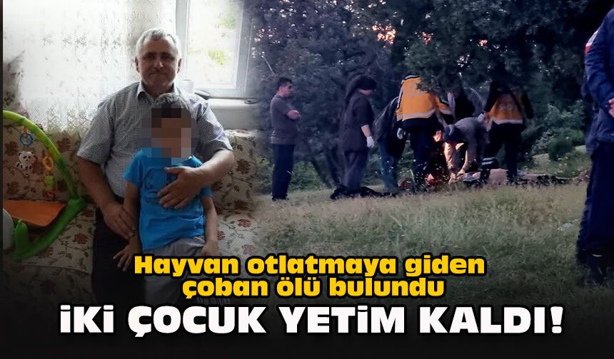 Hayvan otlatmaya giden çoban ölü bulundu... İki çocuk yetim kaldı!