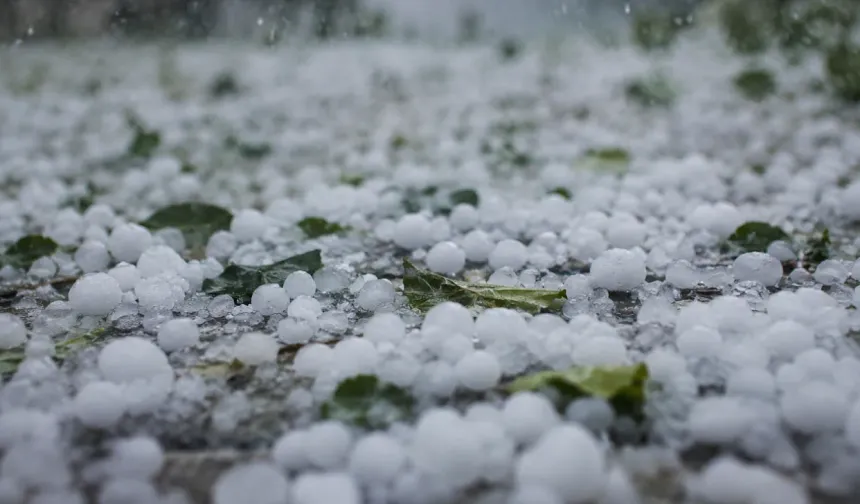 Dolu zararının tespiti için sahada inceleme