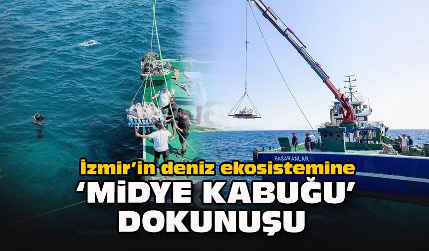 İzmir’in deniz ekosistemine "midye kabuğu" dokunuşu