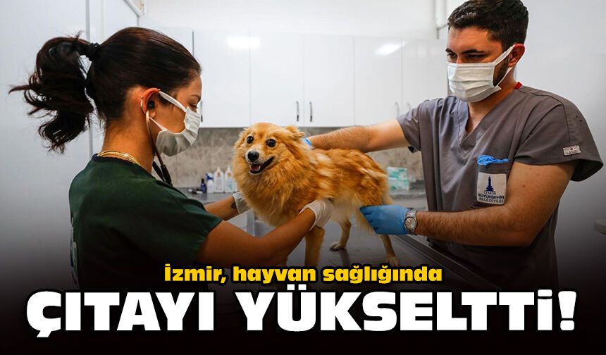 İzmir, hayvan sağlığında çıtayı yükseltti