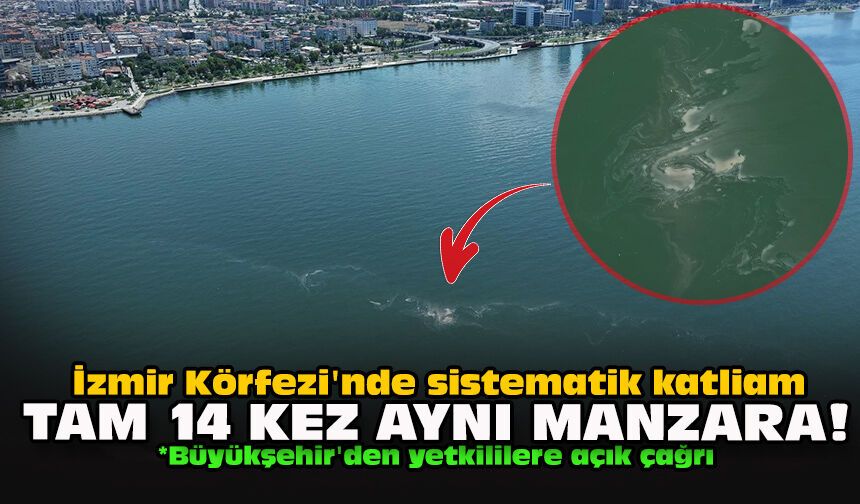 İzmir Körfezi'nde sistematik katliam... Tam 14 kez aynı manzara!
