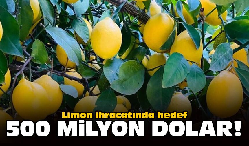 Limon ihracatında hedef 500 milyon dolar!