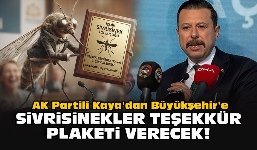 AK Partili Kaya'dan Büyükşehir'e: Sivrisinekler teşekkür plaketi verecek!