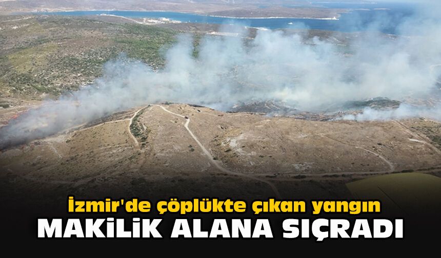 İzmir'de çöplükte çıkan yangın, makilik alana sıçradı