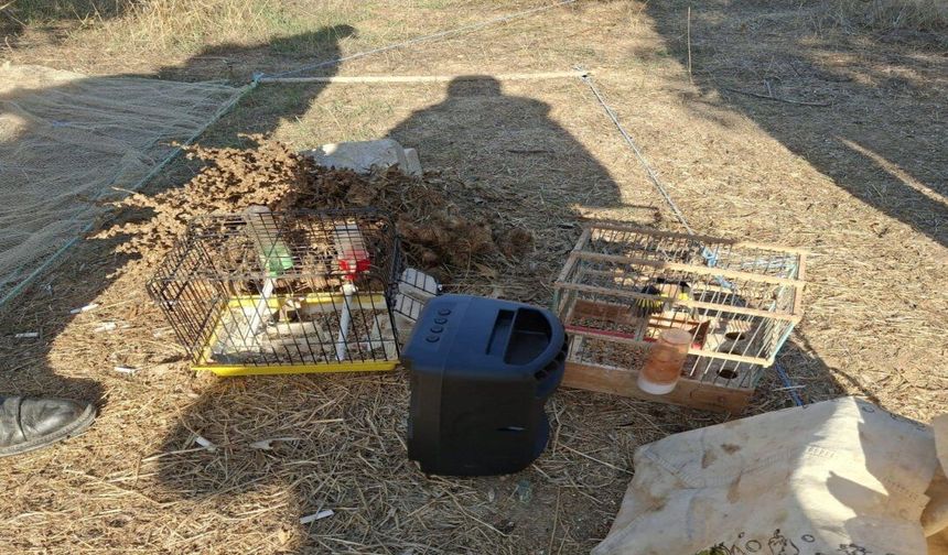 Muğla'da izinsiz bulundurulan 13 kuşa el konuldu