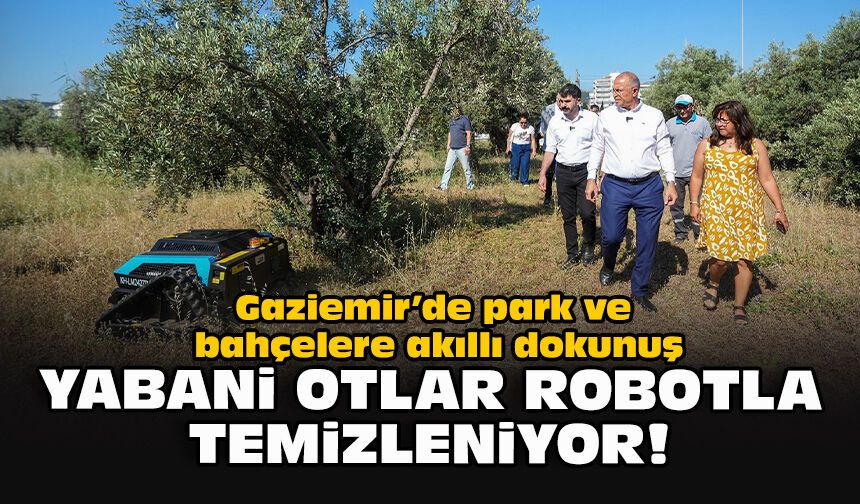 Gaziemir’de park ve bahçelere akıllı dokunuş: Yabani otlar robotla temizleniyor!