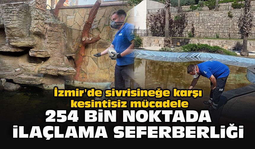 İzmir'de sivrisineğe karşı kesintisiz mücadele... 254 bin noktada ilaçlama seferberliği
