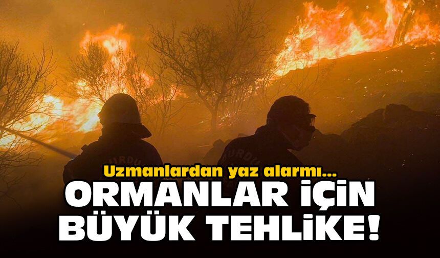 Uzmanlardan yaz alarmı: Ormanlar için büyük tehlike!