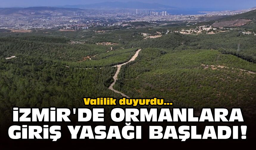 Valilik duyurdu: İzmir'de ormanlara giriş yasağı başladı