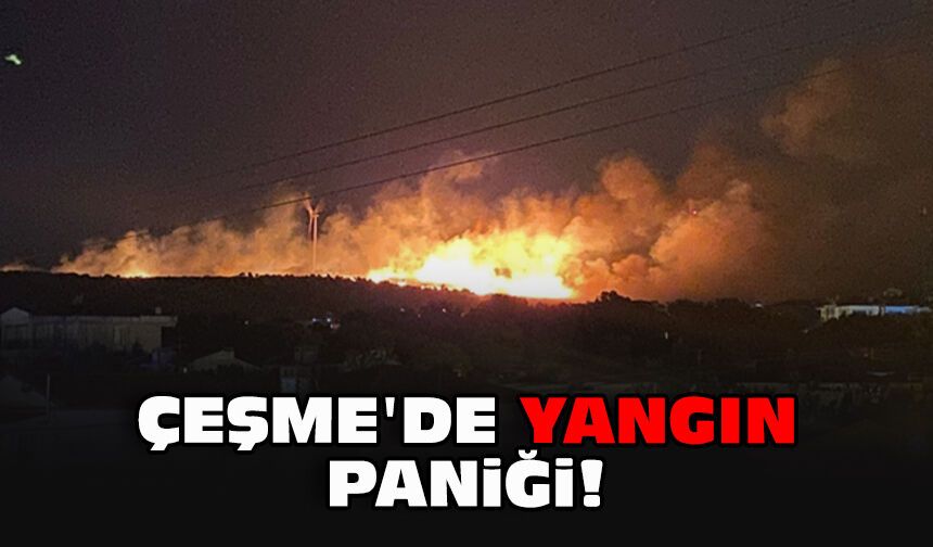 Çeşme'de yangın paniği!