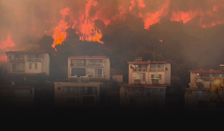 Saatler süren mücadelenin ardından İzmir'deki yangın kontrol altında!