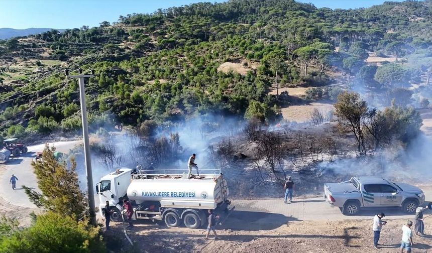Kavaklıdere'de çıkan orman yangını söndürüldü