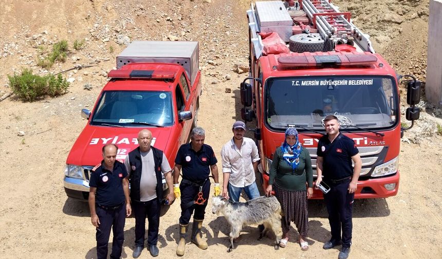 Mersin'de kayalıklarda mahsur kalan keçi kurtarıldı